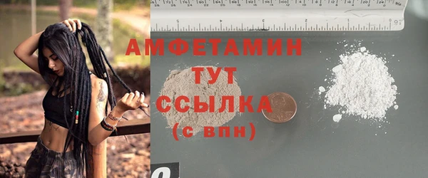 сатива Волосово