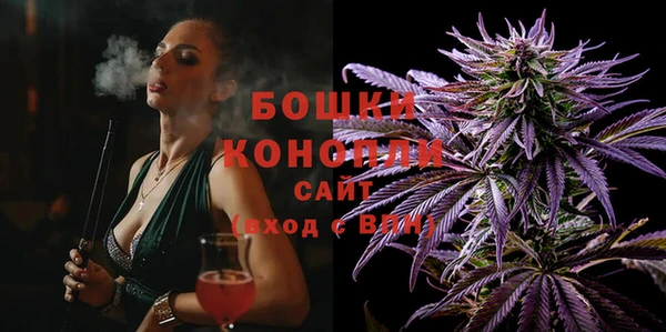 сатива Волосово