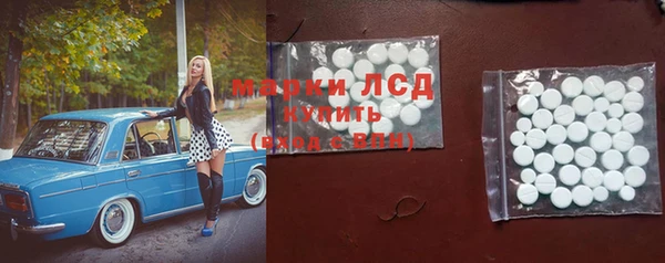 сатива Волосово
