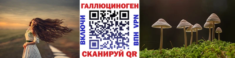 Псилоцибиновые грибы мицелий блэк спрут ССЫЛКА Канаш